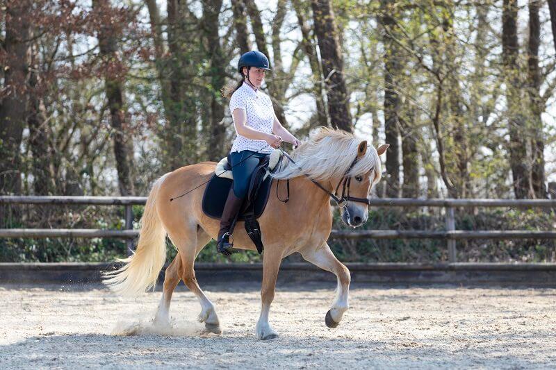Sabina Brammer rijdt paard